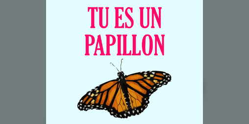Cover image for Tu es un papillon
