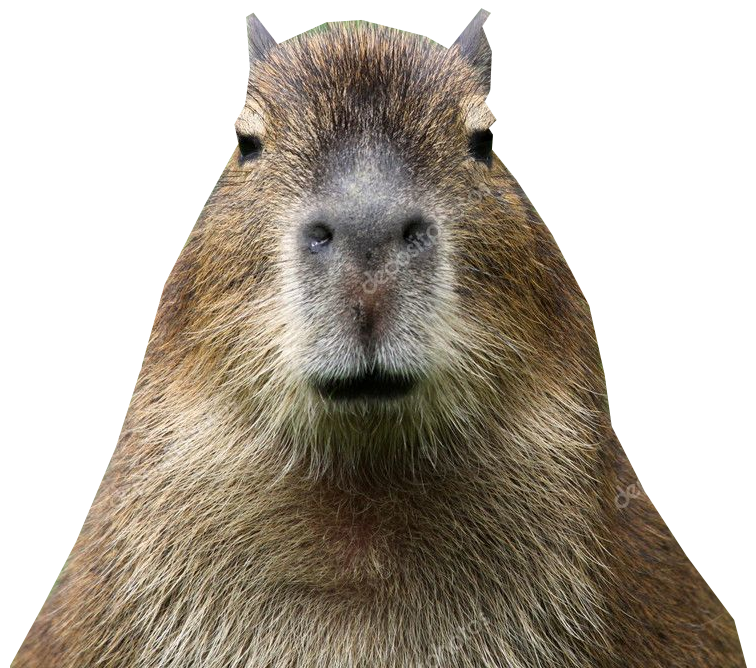 Capybara png images