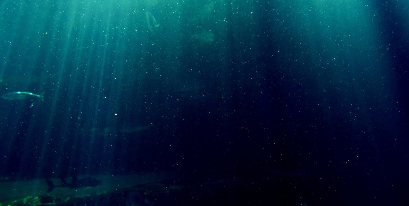 Submerge: Underwater Exploration