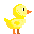 Duckocalypse