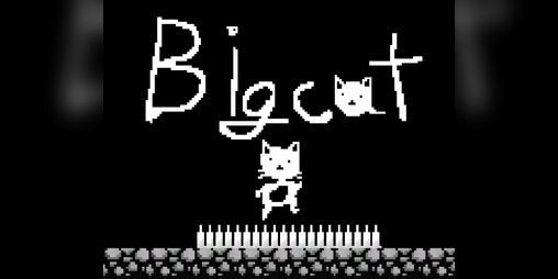 Cover image for Big Cat