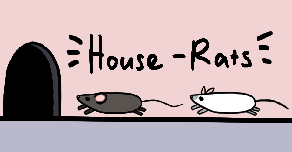 House Rats