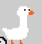 DuckStep