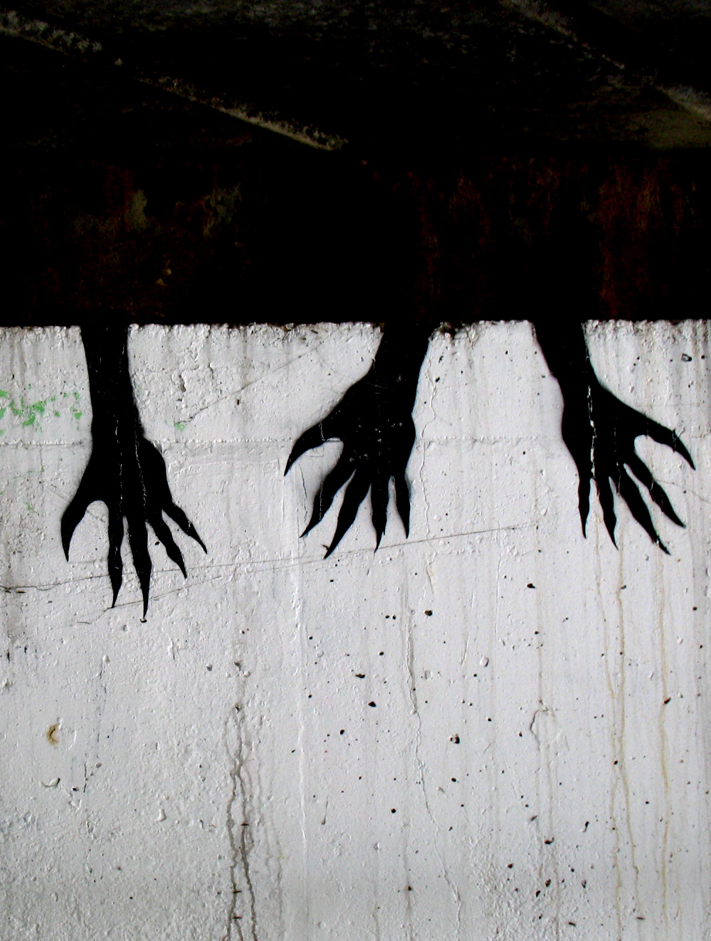 claws, par Esther Simpson