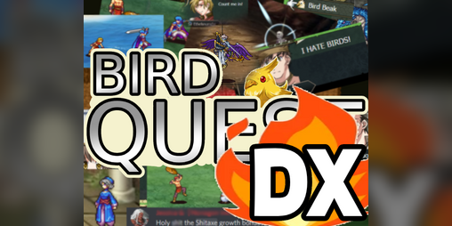 Cover image for Bird Quest DX