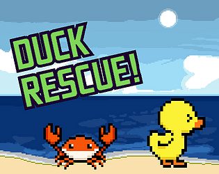Duck Rescue!