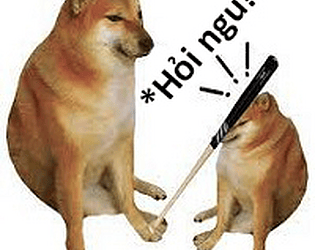 Hỏi Ngu