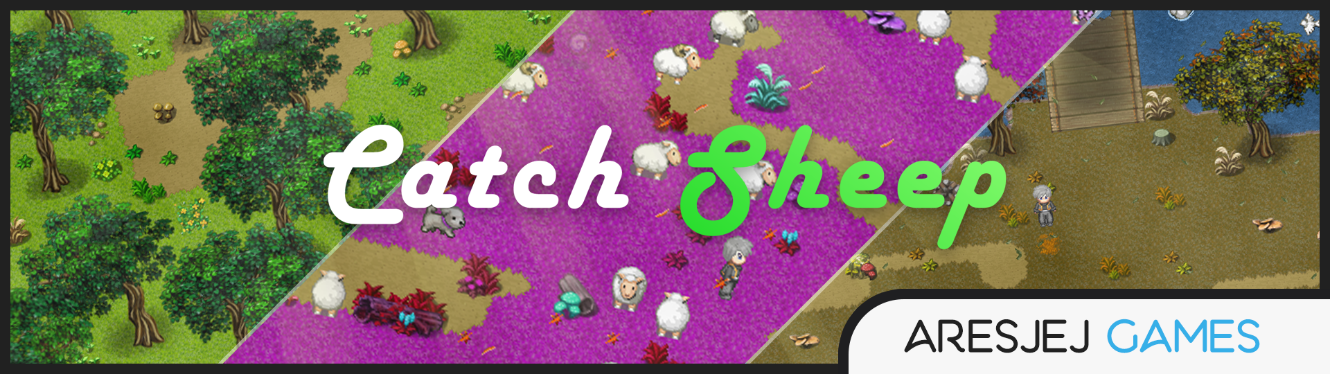 Catch Sheep