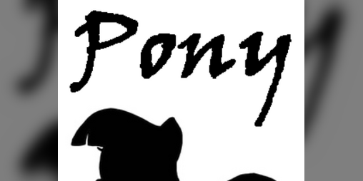 Cover image for My Little Pony：Friendship is a ship.exe