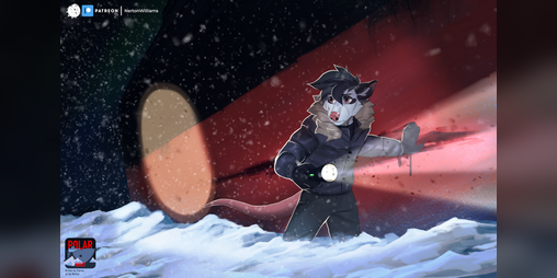 Cover image for Polar Night