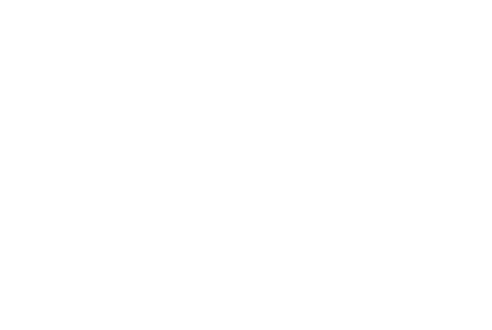 Breaking Bird