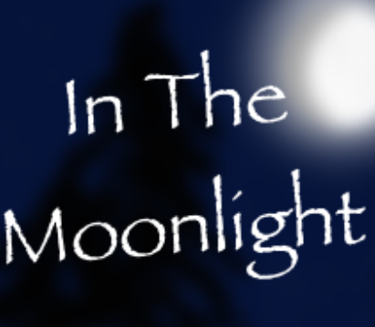 Cover image for In the Moonlight