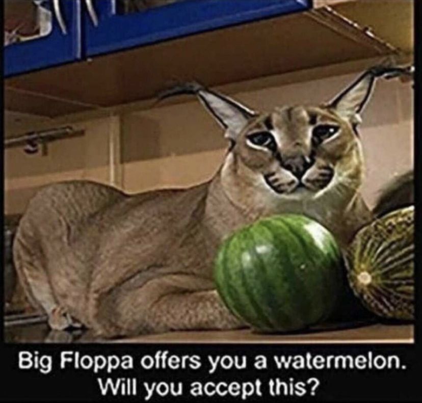 Fight The Floppa Nation
