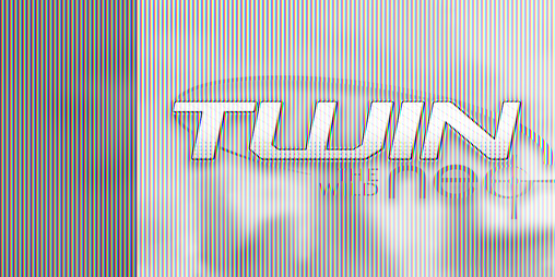 Cover image for TWIN - The Wild Neo