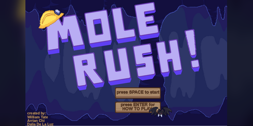 Cover image for Mole Rush