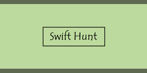 Cover image for Ranger Subclass: Swift Hunt