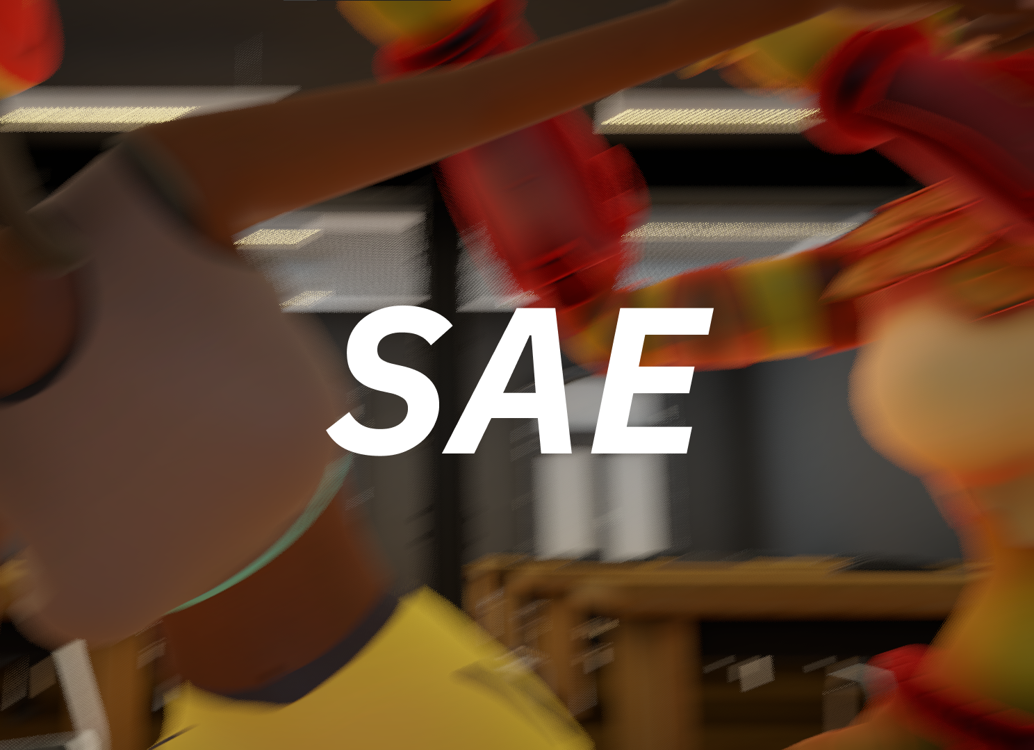 Cover image for SAE Fighter