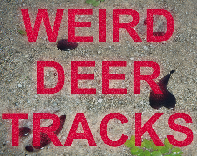 Cover image for Weird Deer Tracks