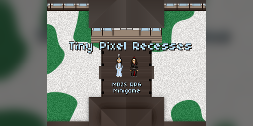 Cover image for Tiny Pixel Recesses