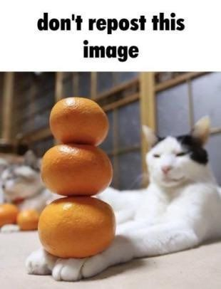 cool buildiong game