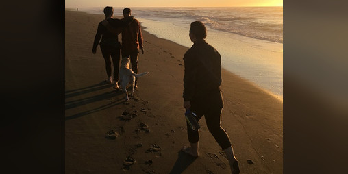 Cover image for Recollection Gloaming
