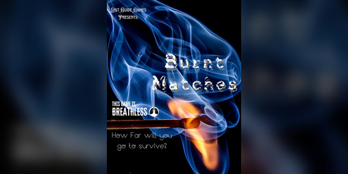 Cover image for Burnt Matches