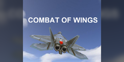 Cover image for COMBAT OF WINGS
