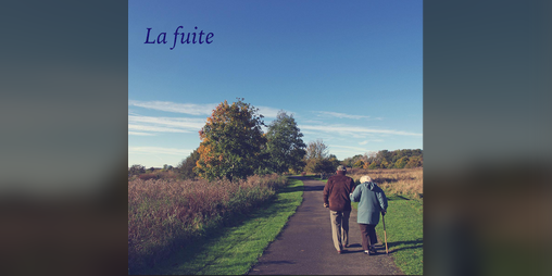 Cover image for La fuite