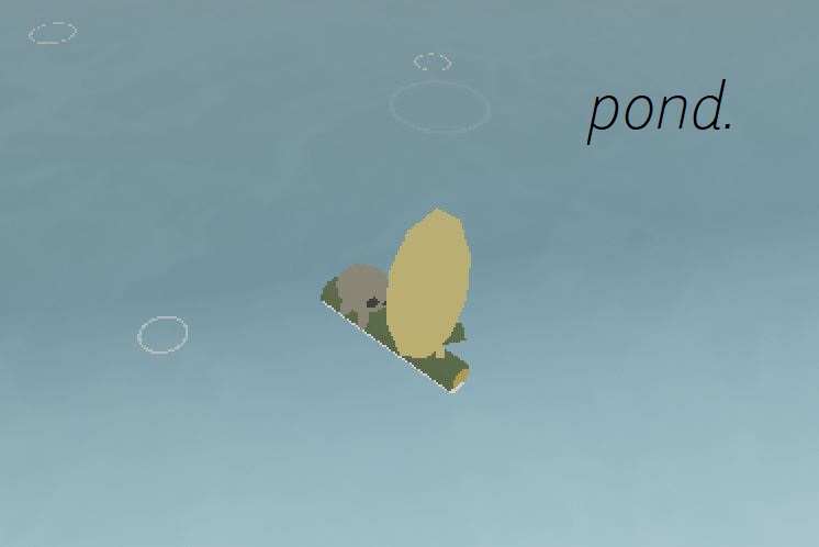 pond.