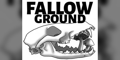 Cover image for Fallow Ground