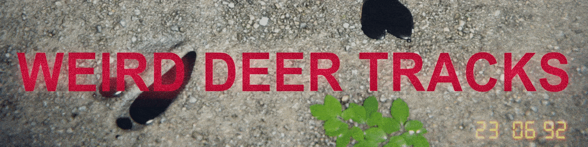 Weird Deer Tracks