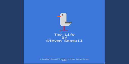 Cover image for The Life of Steven Seagull