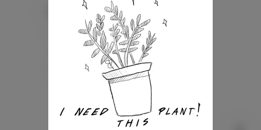 Cover image for I need this plant
