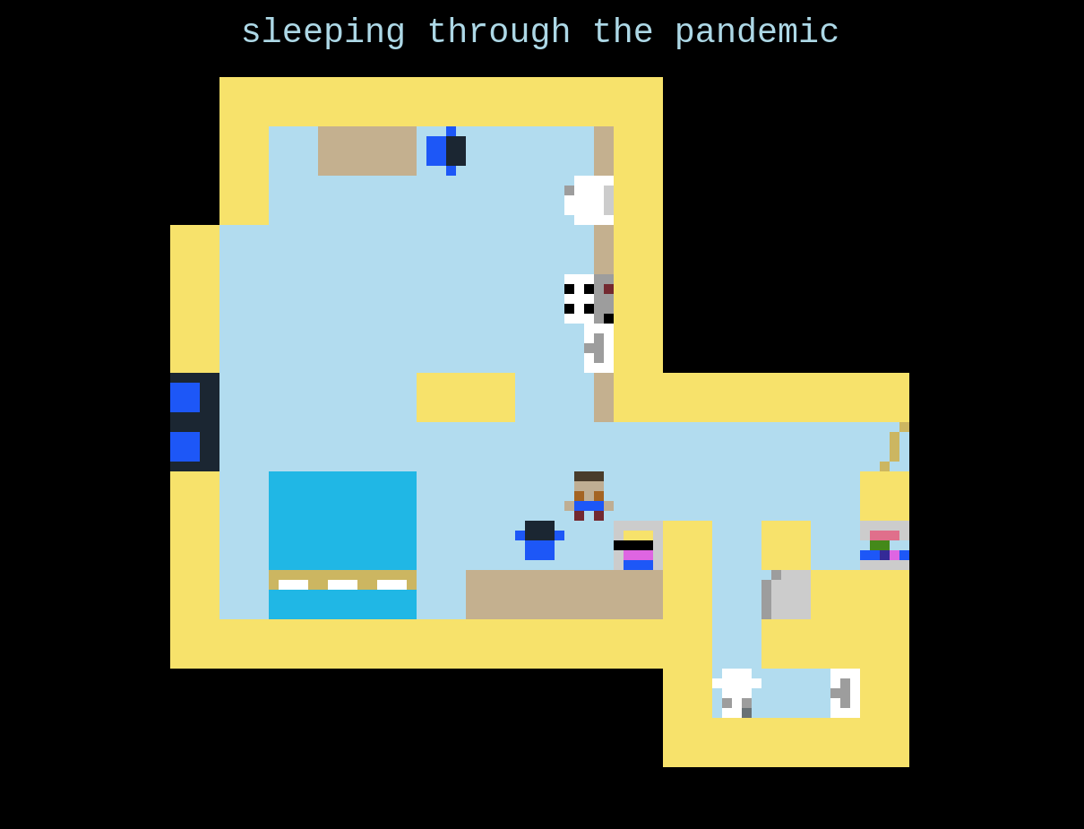 Cover image for Sleeping Through the pandemic