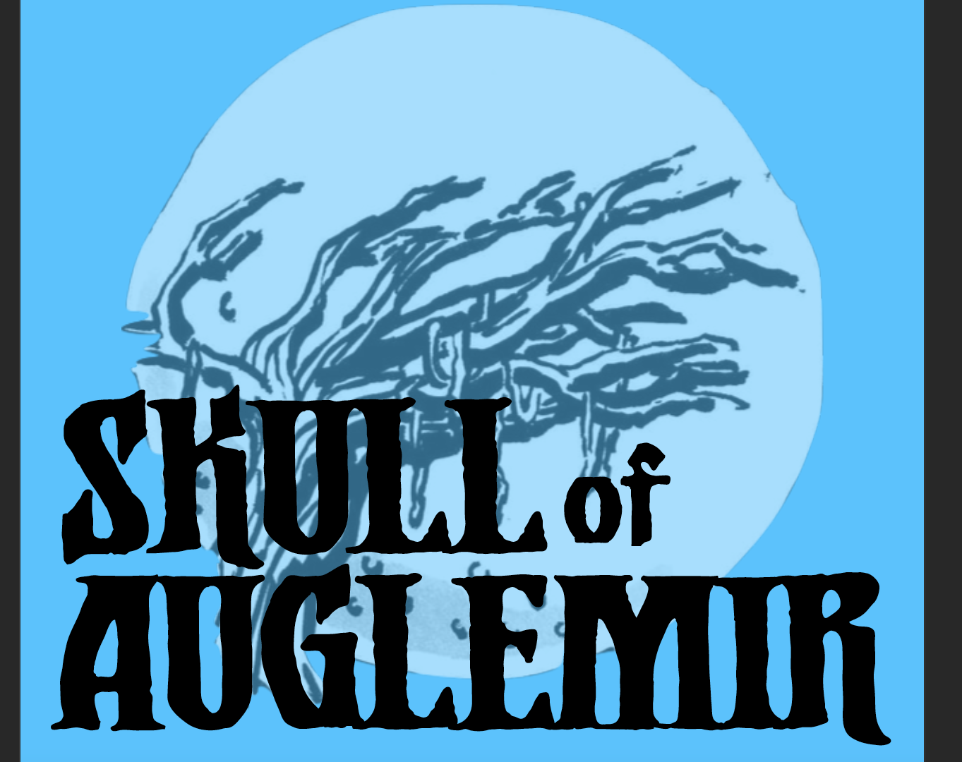 Cover image for Skull of Auglemir