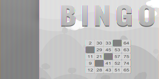Cover image for Bingo