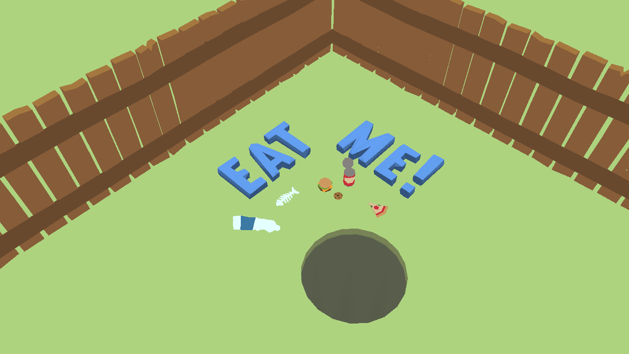 Cover image for Hole