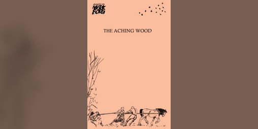 Cover image for The Aching Wood
