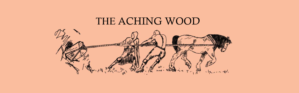 The Aching Wood