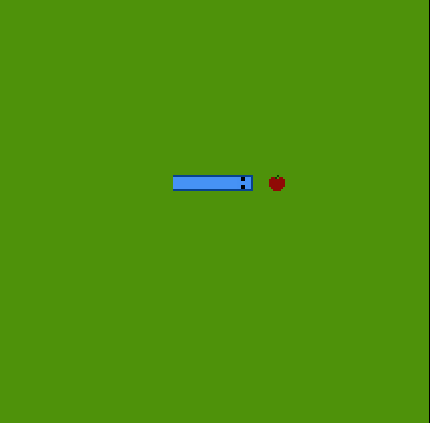 Snake!
