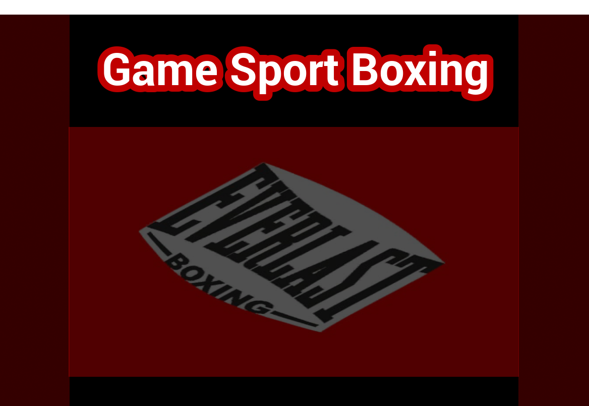 Boxing Game Sports