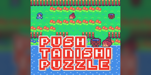 Cover image for PUSH TANISHI PUZZLE