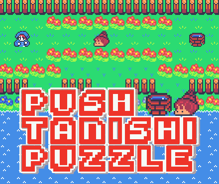 Cover image for PUSH TANISHI PUZZLE