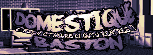 DOMESTIQUE BASTON