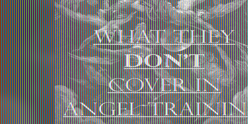 Cover image for What They Don't Cover In Angel Training