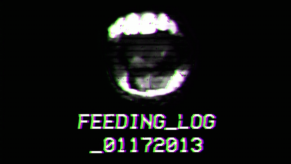 FEEDING_LOG_01172013