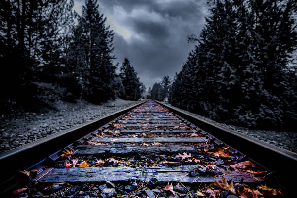 Cover image for The Psychotic Trail