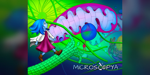 Cover image for Microscopya