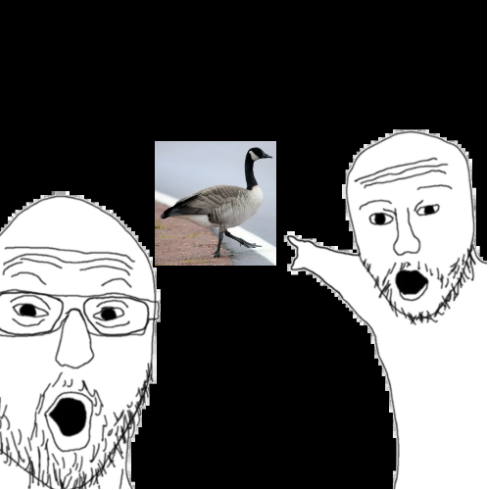 Cover image for Goose Puncher